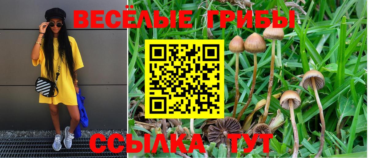 Псилоцибиновые грибы ЛСД  Вход с VPN  Славянск-на-Кубани  Псилоцибиновые грибы GOLDEN TEACHER 
