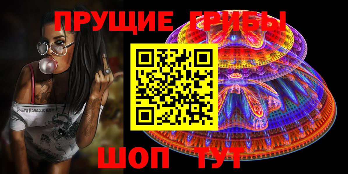 Галлюциногенные грибы Psilocybine cubensis Славянск-на-Кубани